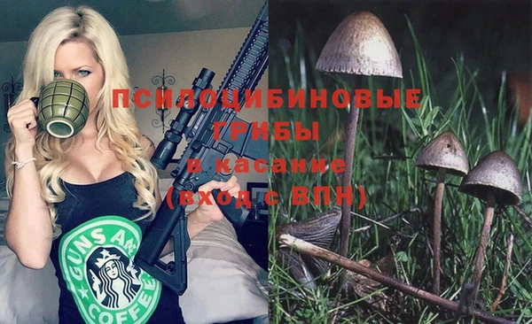 гидра Абдулино