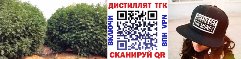 Дистиллят ТГК THC oil  наркошоп  Курганинск 
